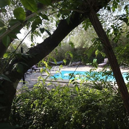 Tikal Boungalows Hotel Malcocinado  Zewnętrze zdjęcie