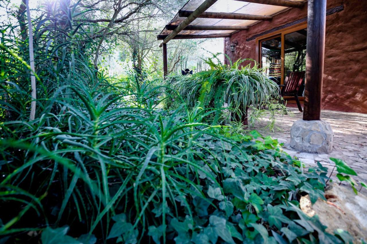 Tikal Boungalows Hotel Malcocinado  Zewnętrze zdjęcie