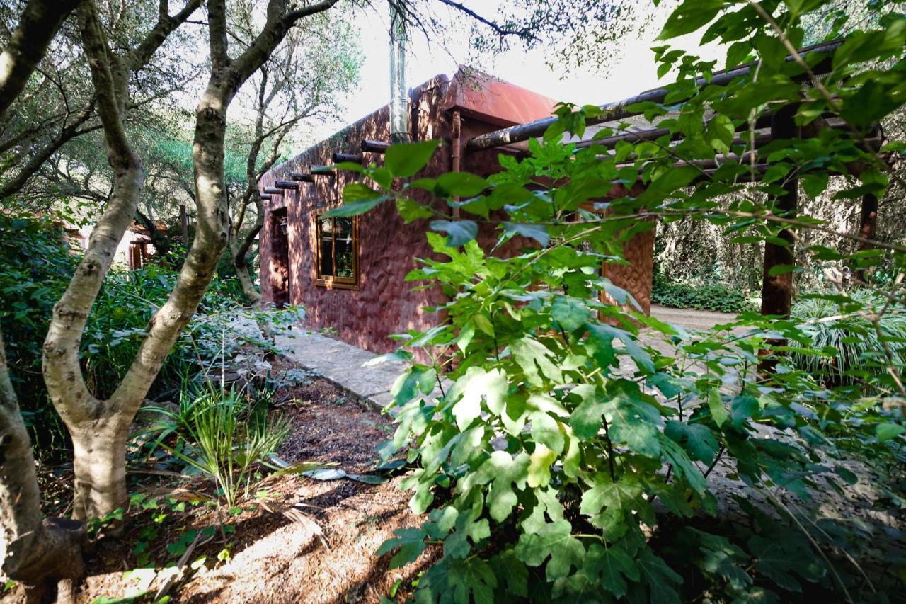 Tikal Boungalows Hotel Malcocinado  Zewnętrze zdjęcie