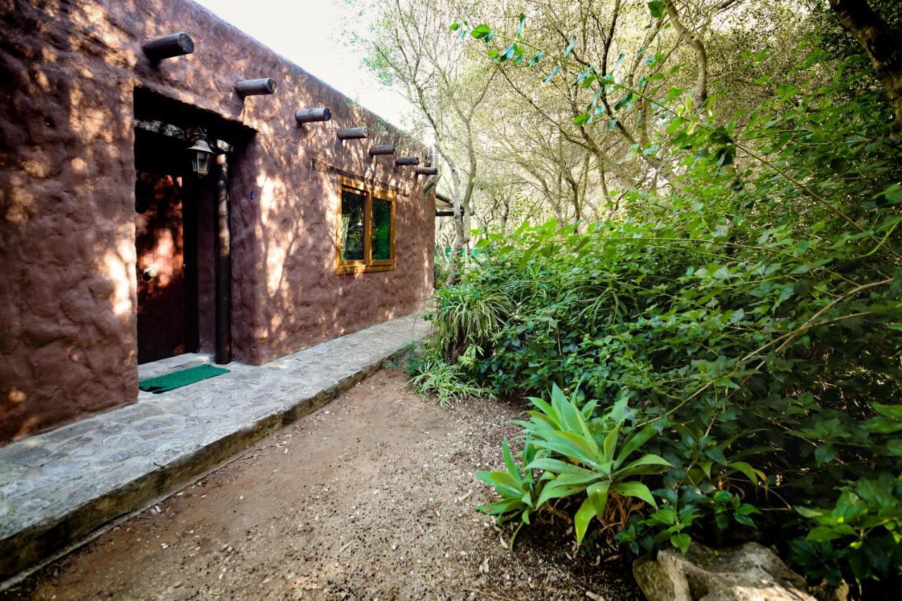 Tikal Boungalows Hotel Malcocinado  Zewnętrze zdjęcie