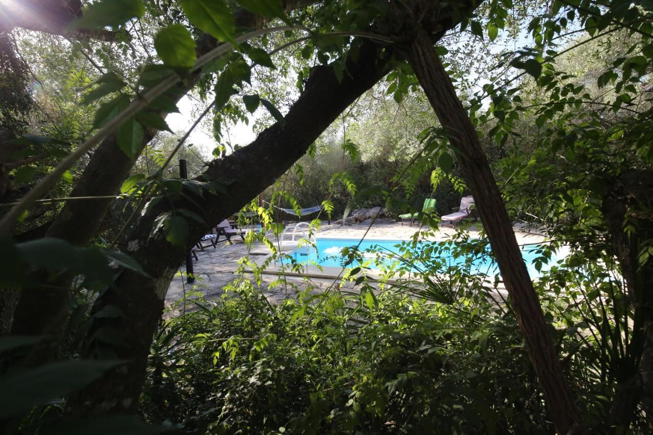 Tikal Boungalows Hotel Malcocinado  Zewnętrze zdjęcie